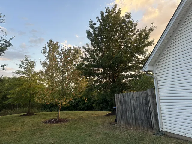 a view of backyard with green space
