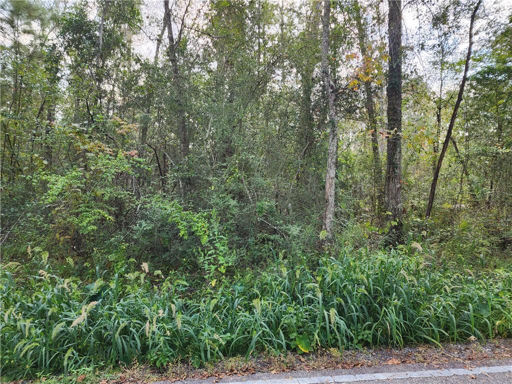 . Benjamin Road Slidell, LA 70460 - Photo 1 of 4 Gallery Image 1