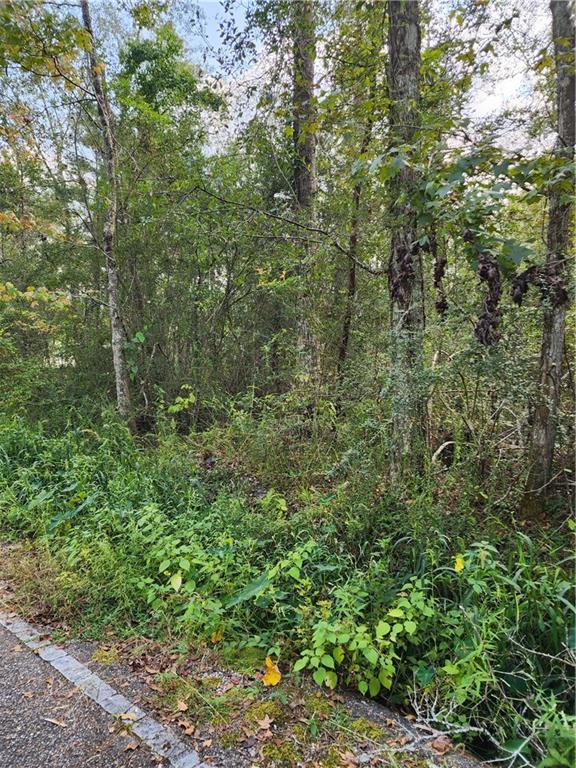 . Benjamin Road Slidell, LA 70460 - Photo 2 of 4 Gallery Image 2