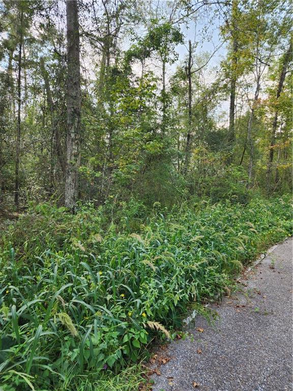 . Benjamin Road Slidell, LA 70460 - Photo 3 of 4 Gallery Image 3