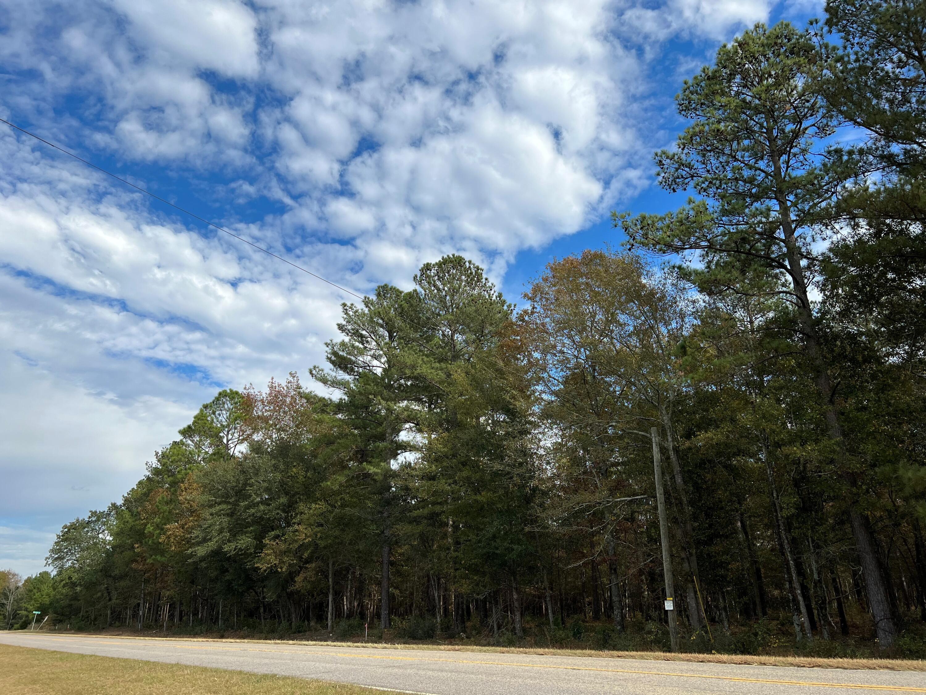 W2 Wagener Road, Unit 2 Wagener, SC 29164 - Photo 7 of 11