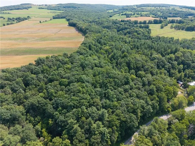 $80,000 | 10402 County Route 46, Dansville, NY 14437