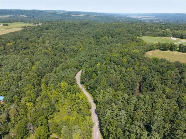 $80,000 | 10402 County Route 46, Dansville, NY 14437