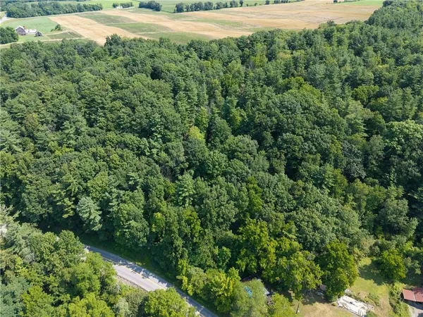 $80,000 | 10402 County Route 46, Dansville, NY 14437