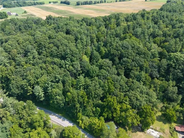 $80,000 | 10402 County Route 46, Dansville, NY 14437