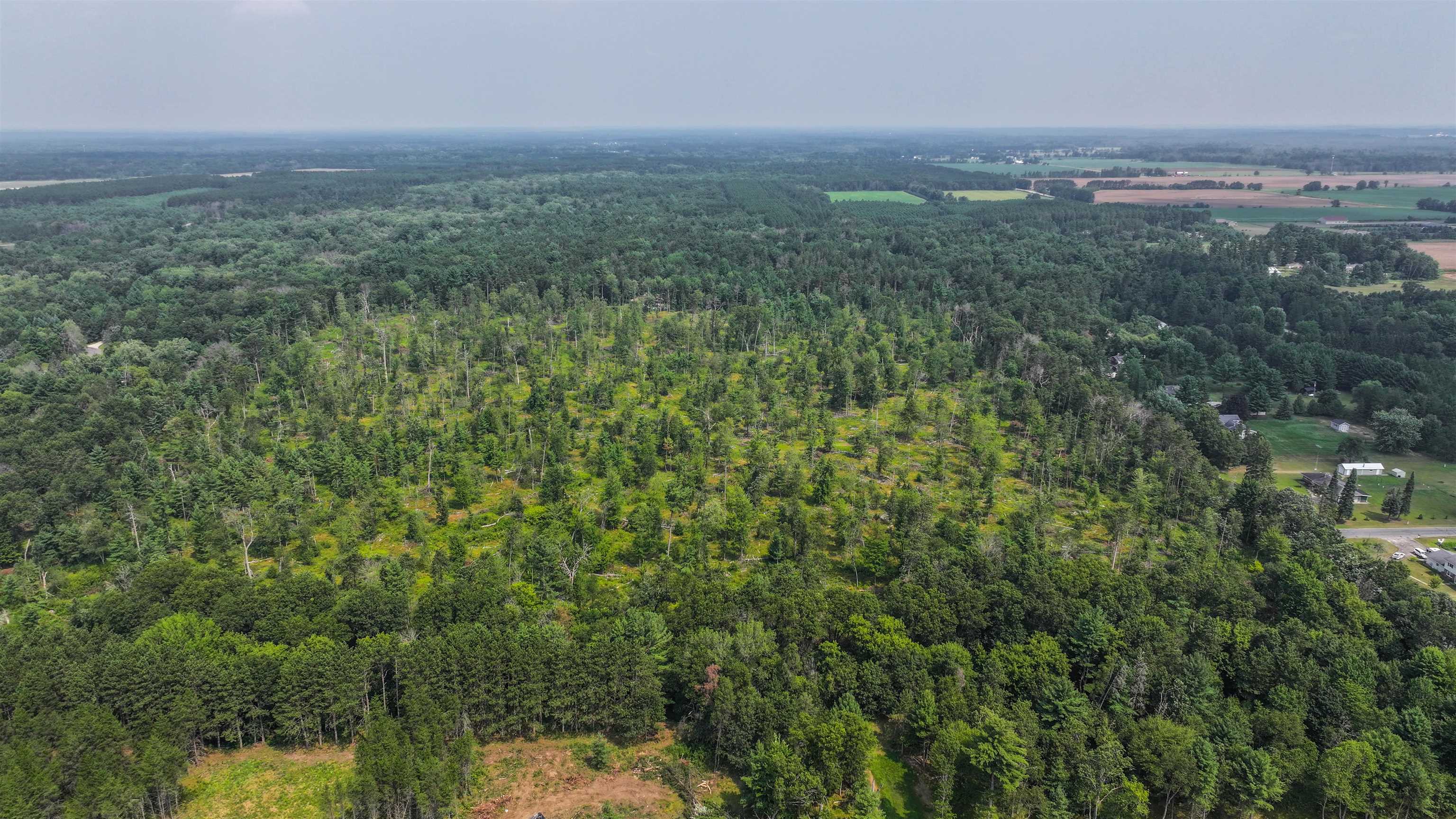 44.59-acres Brilowski Road Stevens Point, WI 54482 - Photo 7 of 10