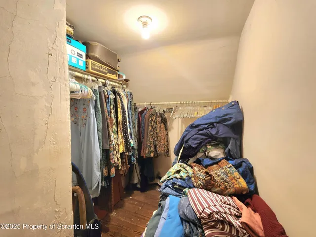 a view of a garden with a tree