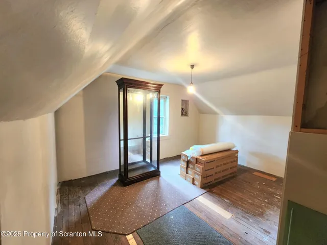 a view of a big yard with plants and large trees