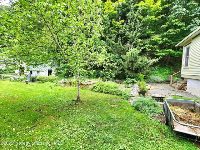 a view of a porch with furniture and a potted plant