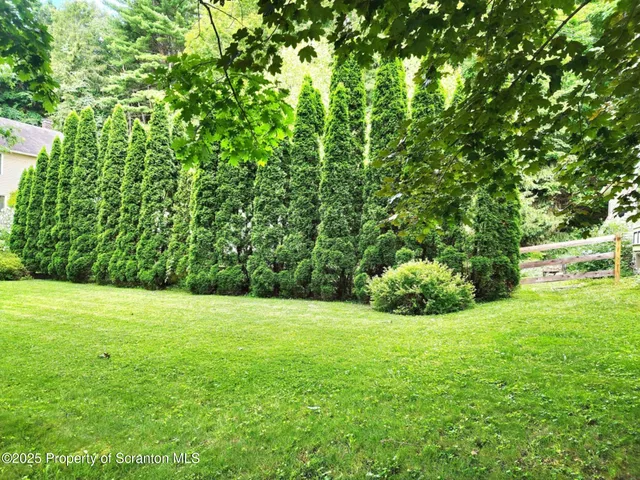 a front view of house with yard and green space