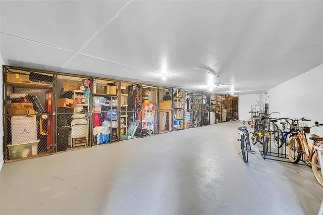 a view of a big yard with plants and trees