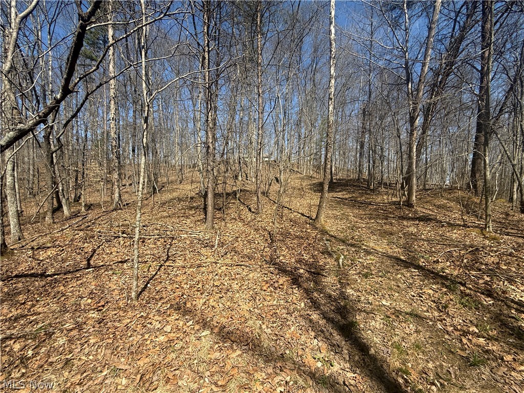 1137 Cain Road Big Bend, WV 26136 - Photo 20 of 31