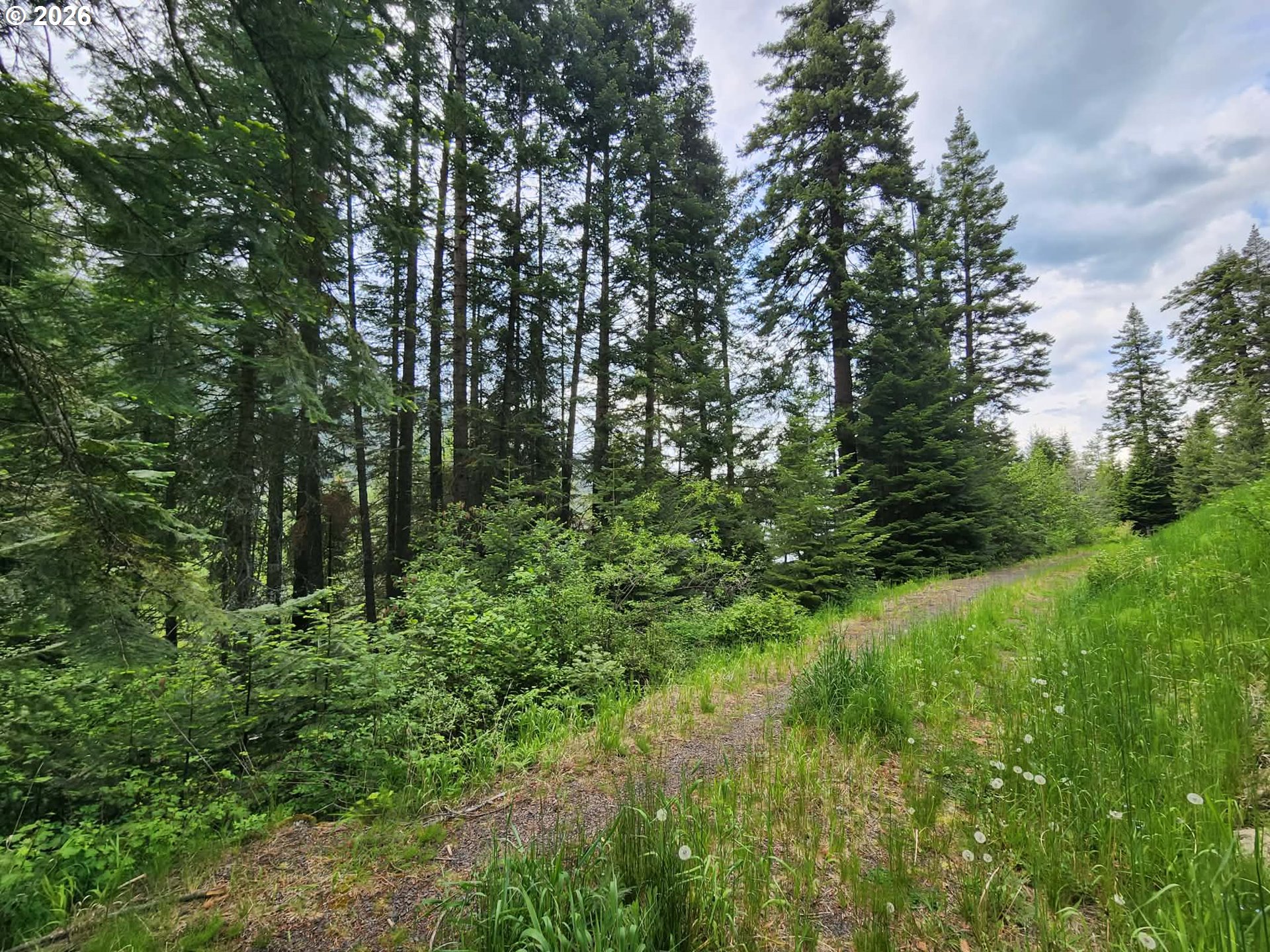 0 Forest Dell Road Joseph, OR 97846 - Photo 12 of 18