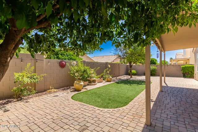 a view of a backyard