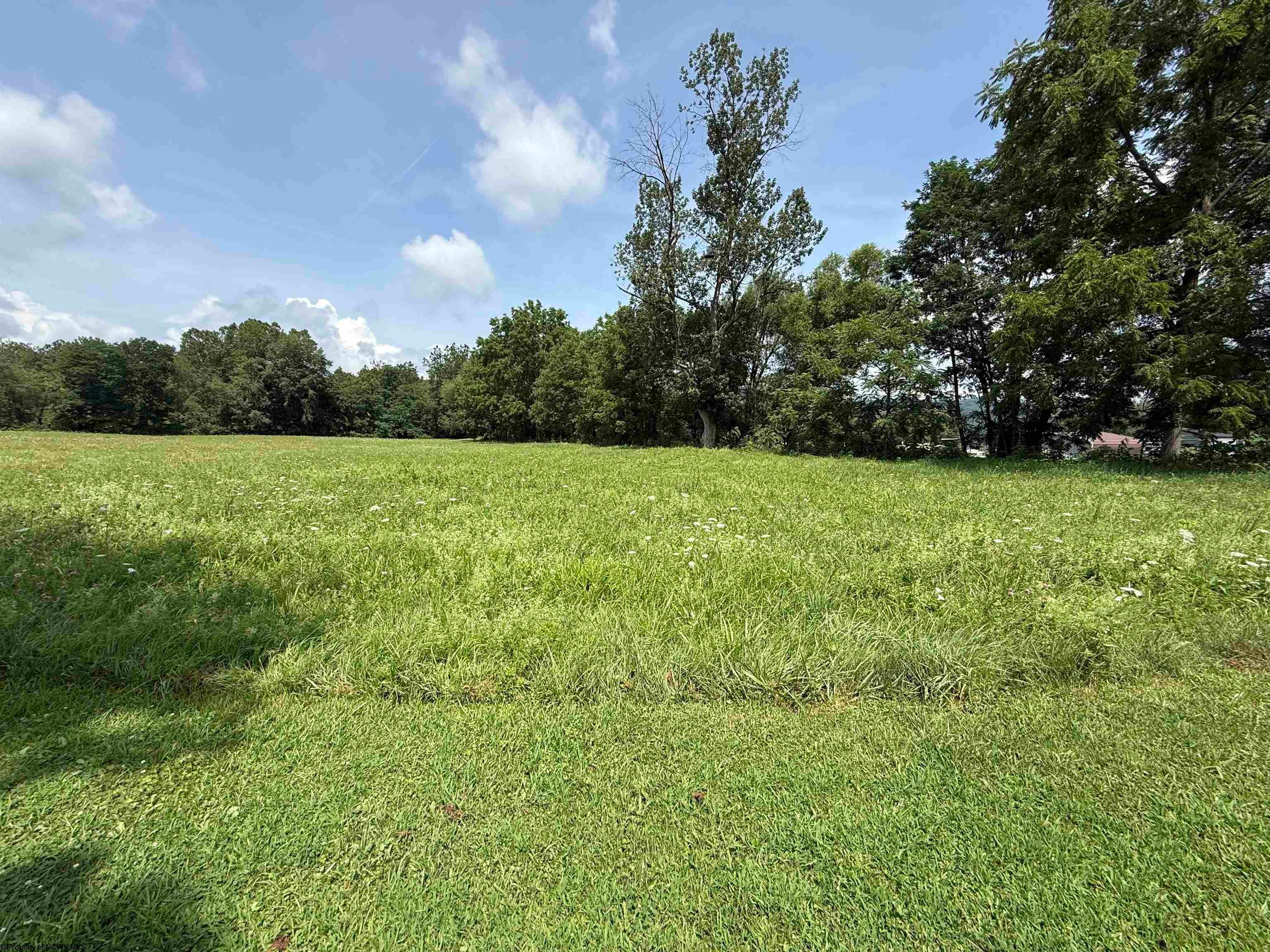 713 Back Road Mill Creek, WV 26280 - Photo 14 of 37 Gallery Image 14