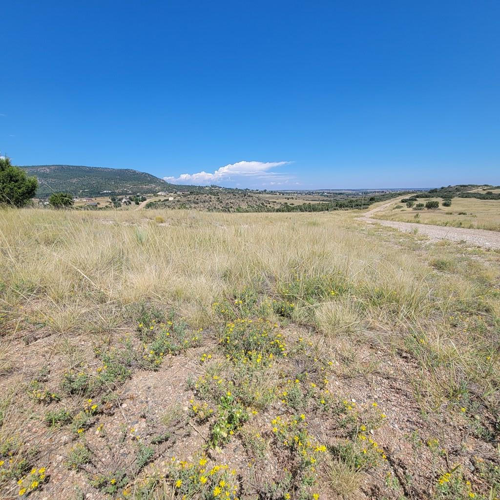 688 Geronimo Road Rye, CO 81069 - Photo 3 of 15