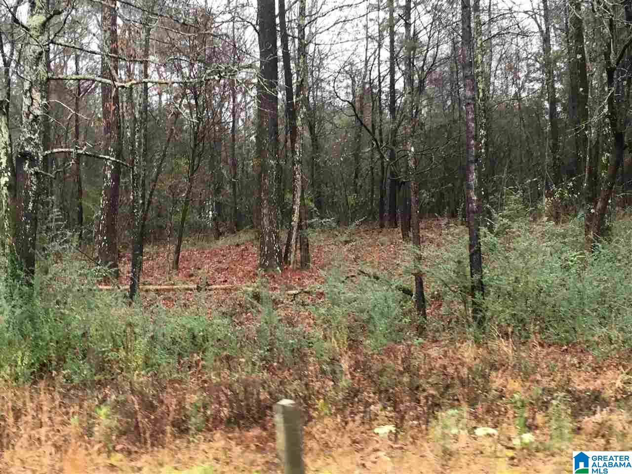 1245 Eureka Road, Unit 2 Lincoln, AL 35096 - Photo 28 of 32