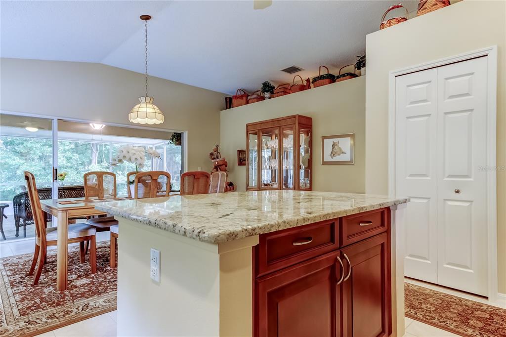 1610 Cortleigh Drive Trinity, FL 34655 - Photo 18 of 72