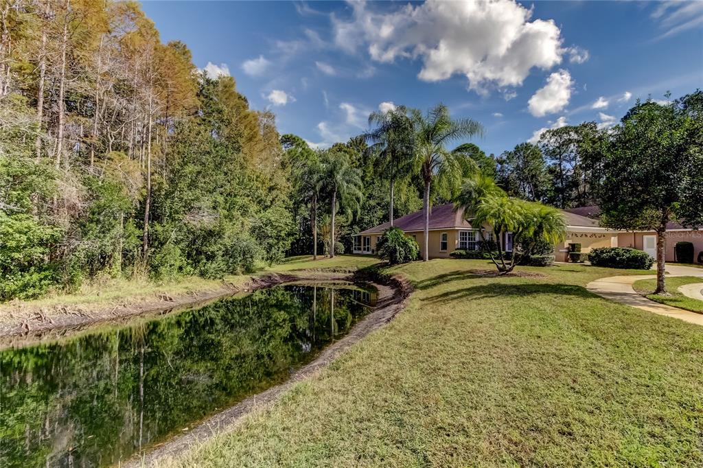 1610 Cortleigh Drive Trinity, FL 34655 - Photo 4 of 72 a view of swimming pool with lawn chairs and plants
