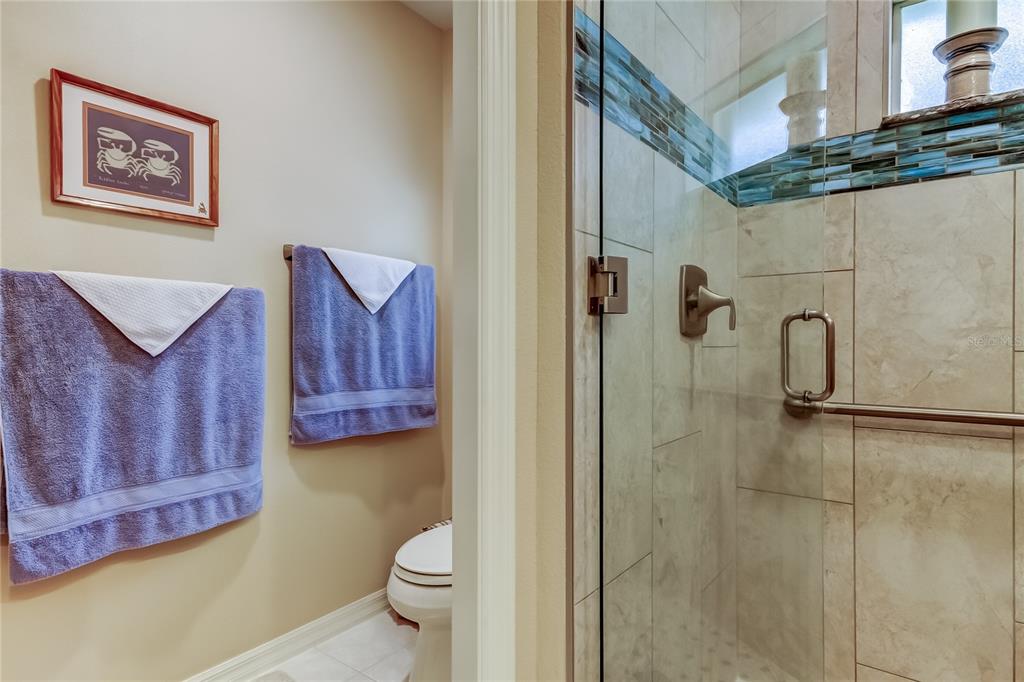 1610 Cortleigh Drive Trinity, FL 34655 - Photo 43 of 72