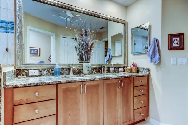 a view of a forest that has large trees