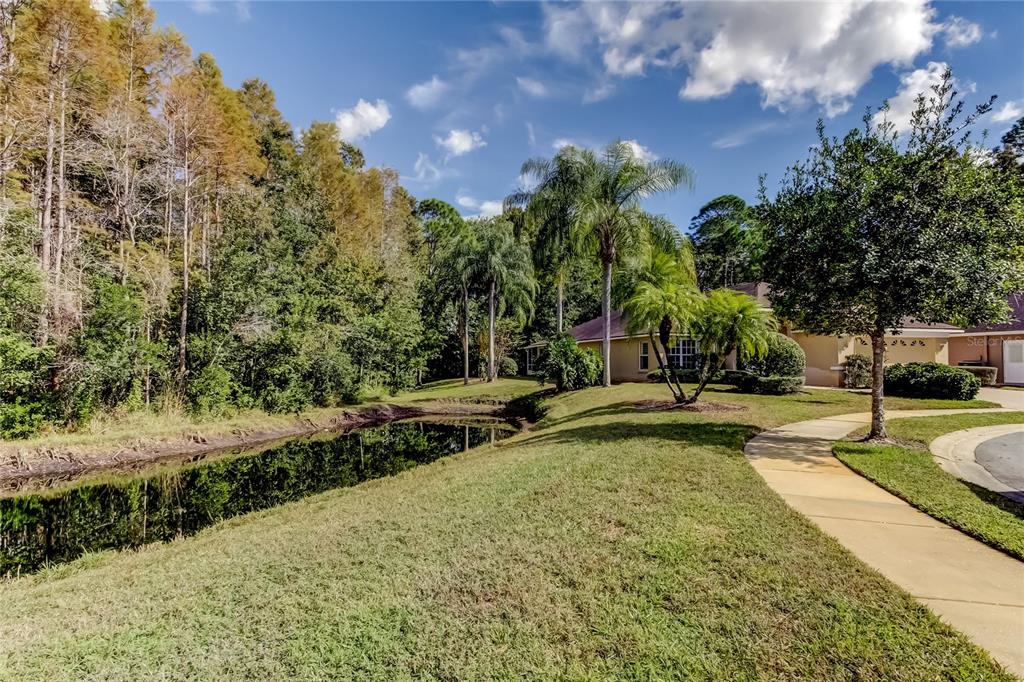 1610 Cortleigh Drive Trinity, FL 34655 - Photo 5 of 72