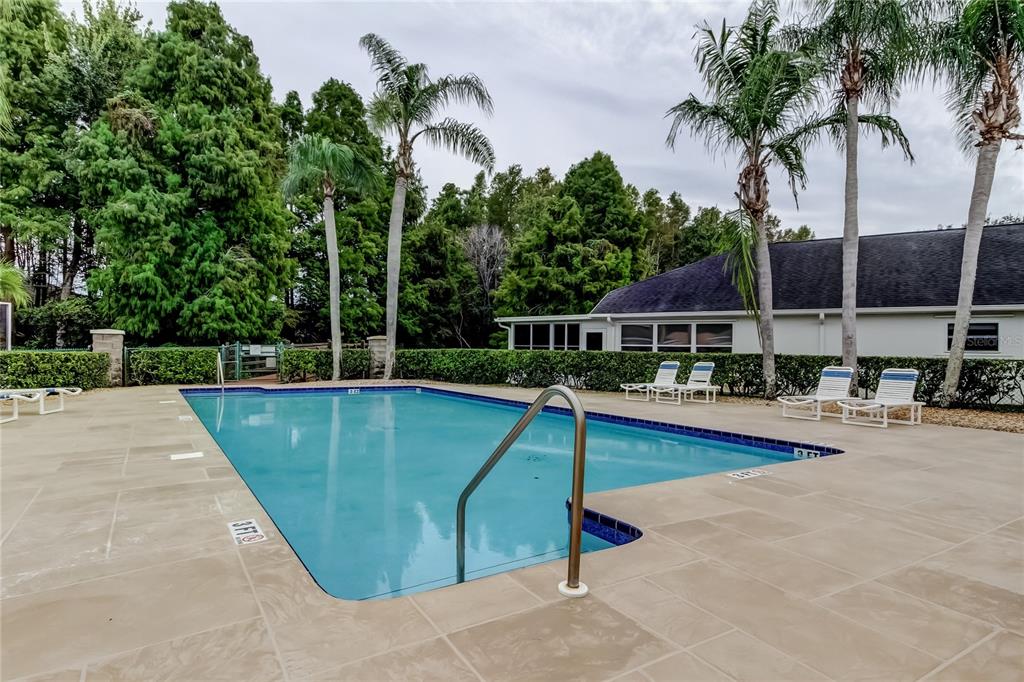 1610 Cortleigh Drive Trinity, FL 34655 - Photo 61 of 72 a view of a swimming pool with a lounge chair and palm trees