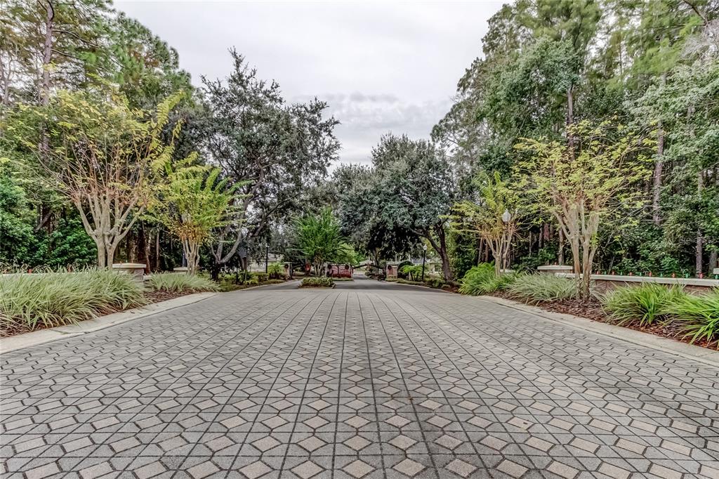 1610 Cortleigh Drive Trinity, FL 34655 - Photo 65 of 72