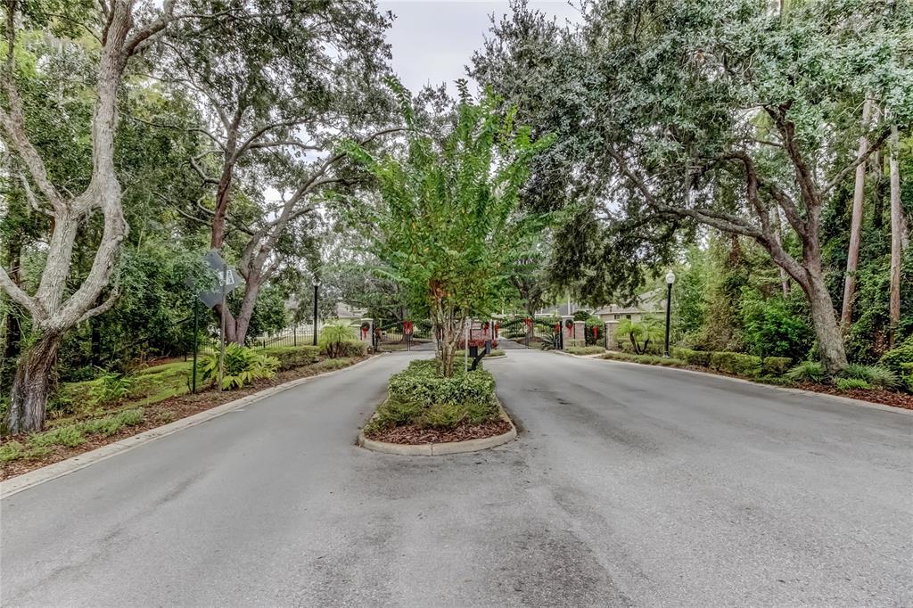 1610 Cortleigh Drive Trinity, FL 34655 - Photo 66 of 72