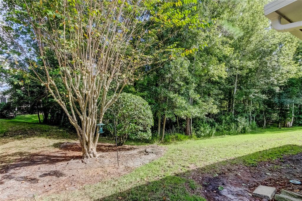 1610 Cortleigh Drive Trinity, FL 34655 - Photo 68 of 72