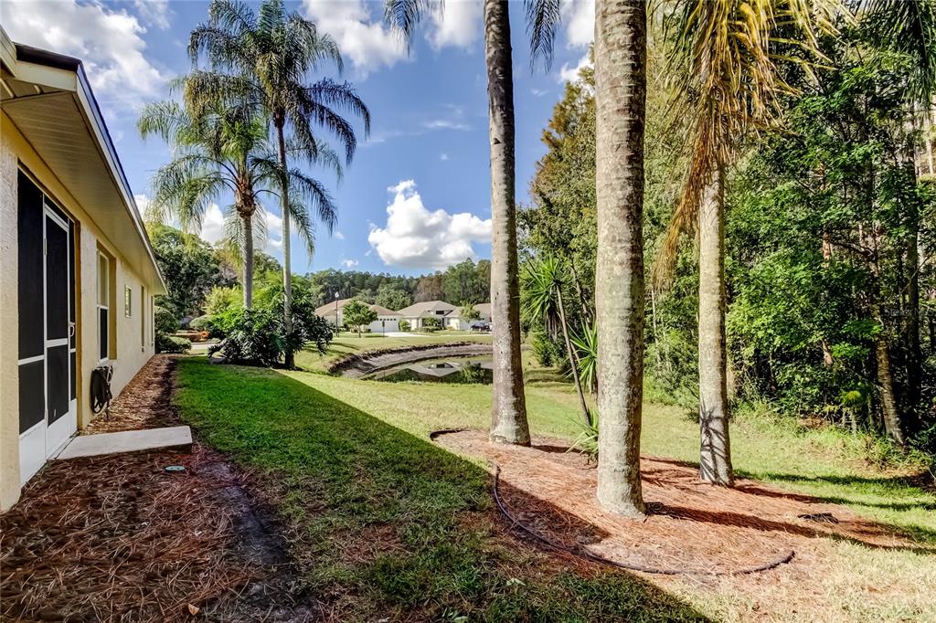 1610 Cortleigh Drive Trinity, FL 34655 - Photo 70 of 72