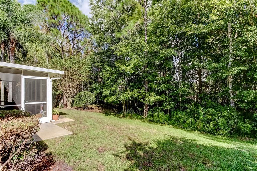 1610 Cortleigh Drive Trinity, FL 34655 - Photo 72 of 72 front view of a house with a yard and potted plants