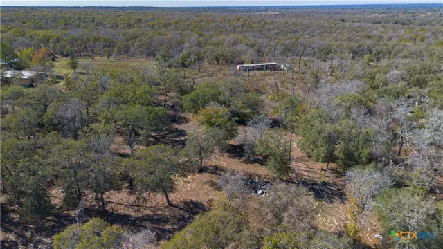 a view of a dry field with lots of trees