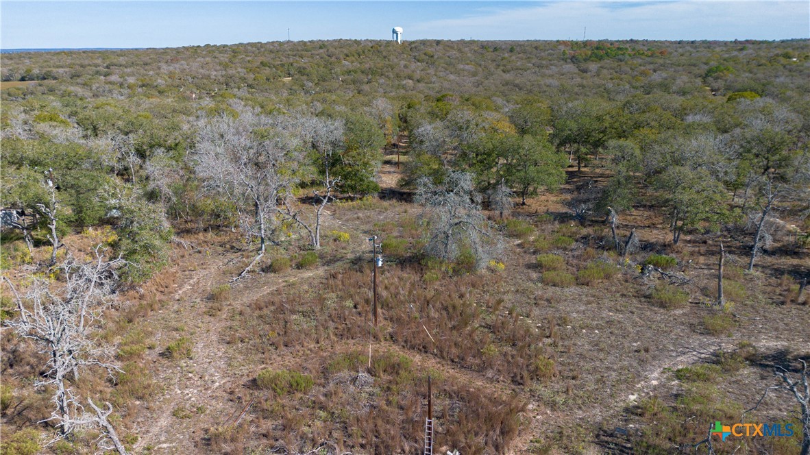 780 Oak Tree Road Seguin, TX 78155 - Photo 40 of 40 a view of a forest with a forest