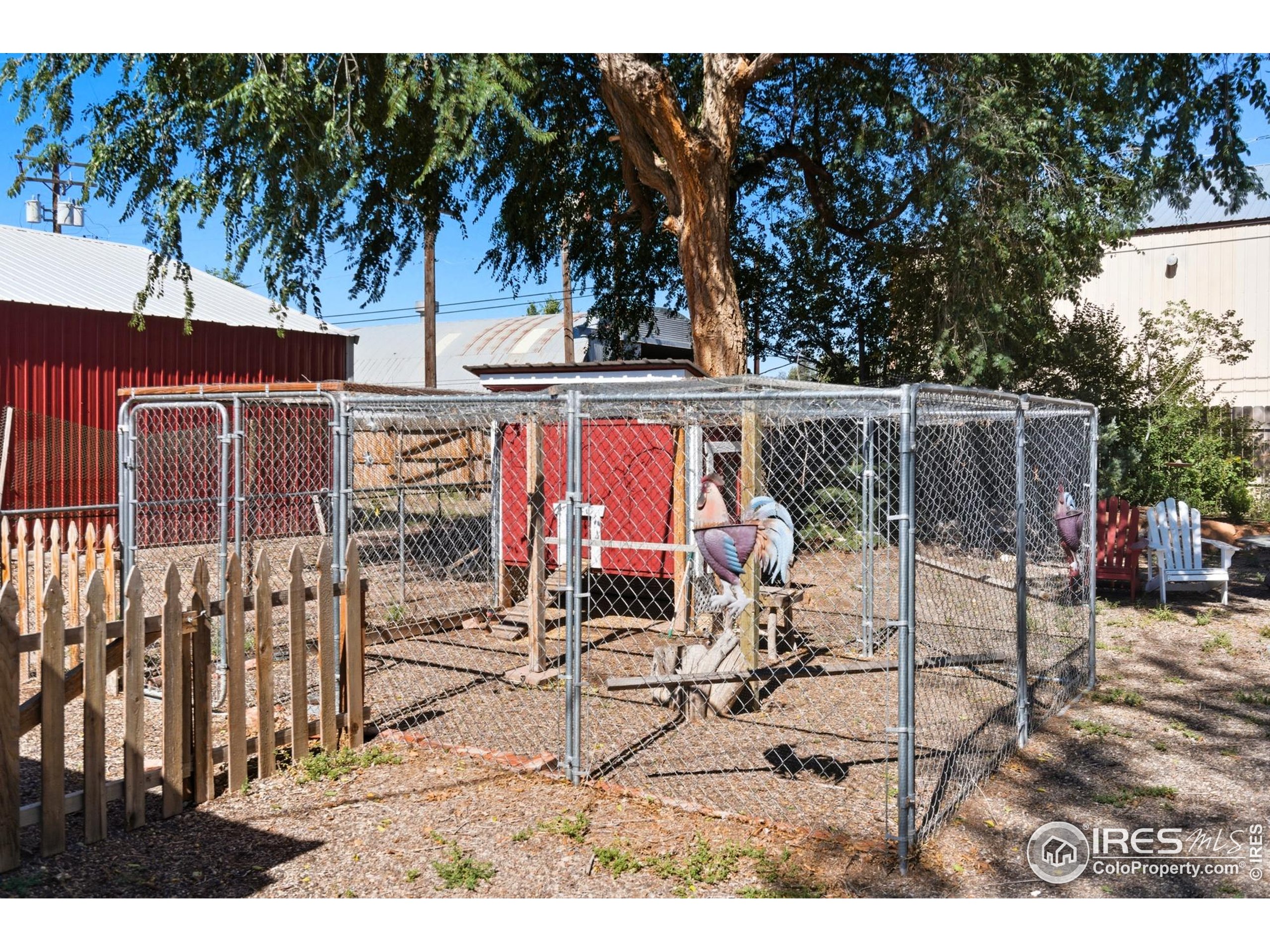103 West Main Street Pierce, CO 80650 - Photo 31 of 47 a view of outdoor space yard and patio