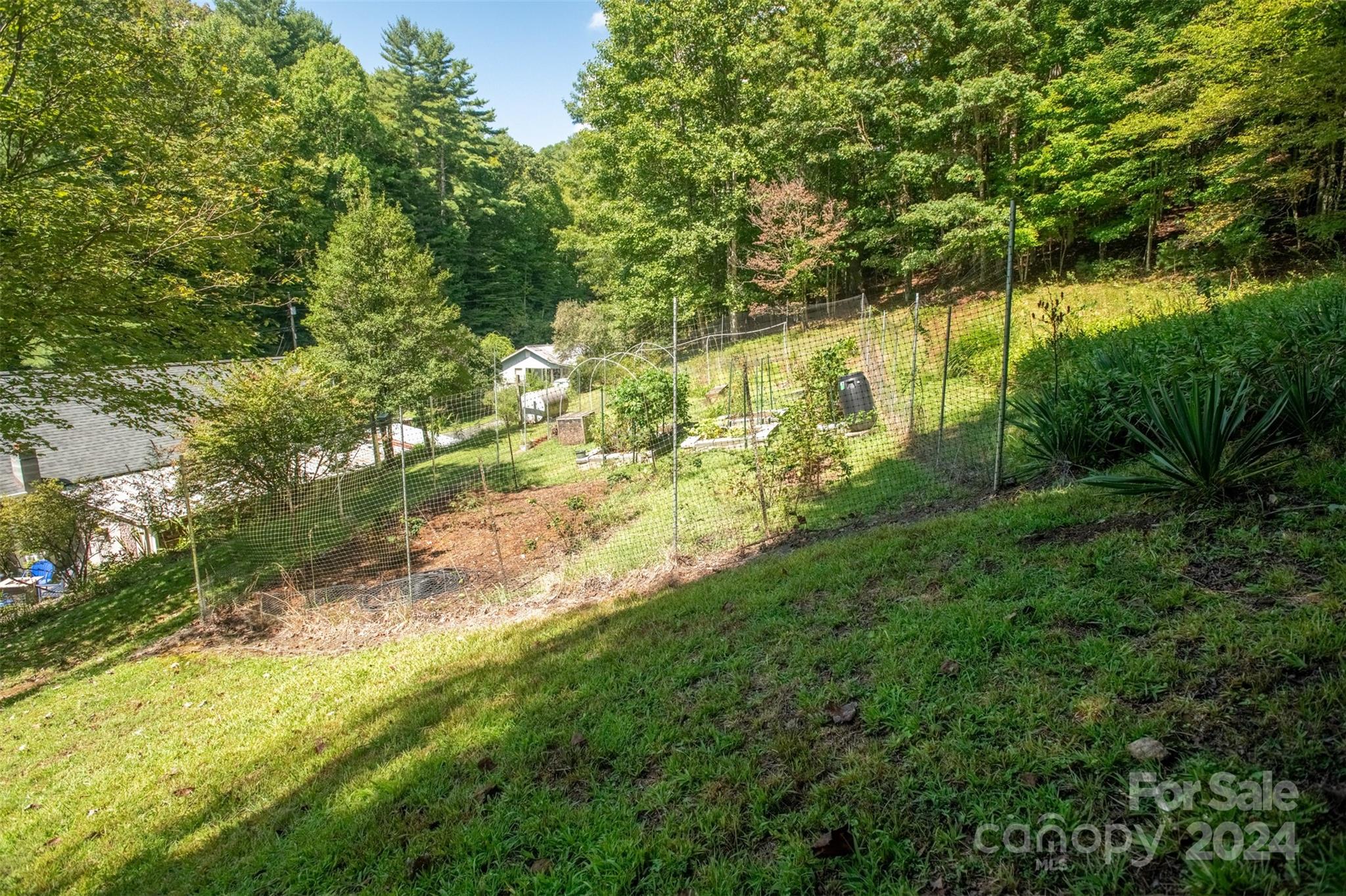 296 Sparks Road Bakersville, NC 28705 - Photo 20 of 47 a view of yard with green space
