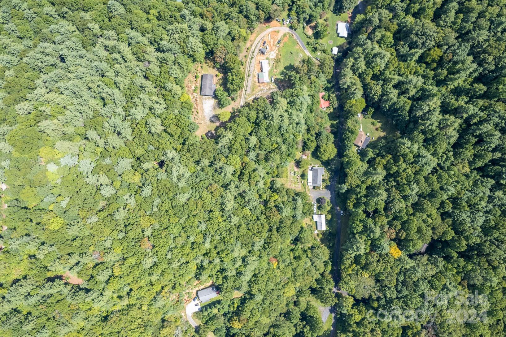 296 Sparks Road Bakersville, NC 28705 - Photo 25 of 47 a close up of a plant