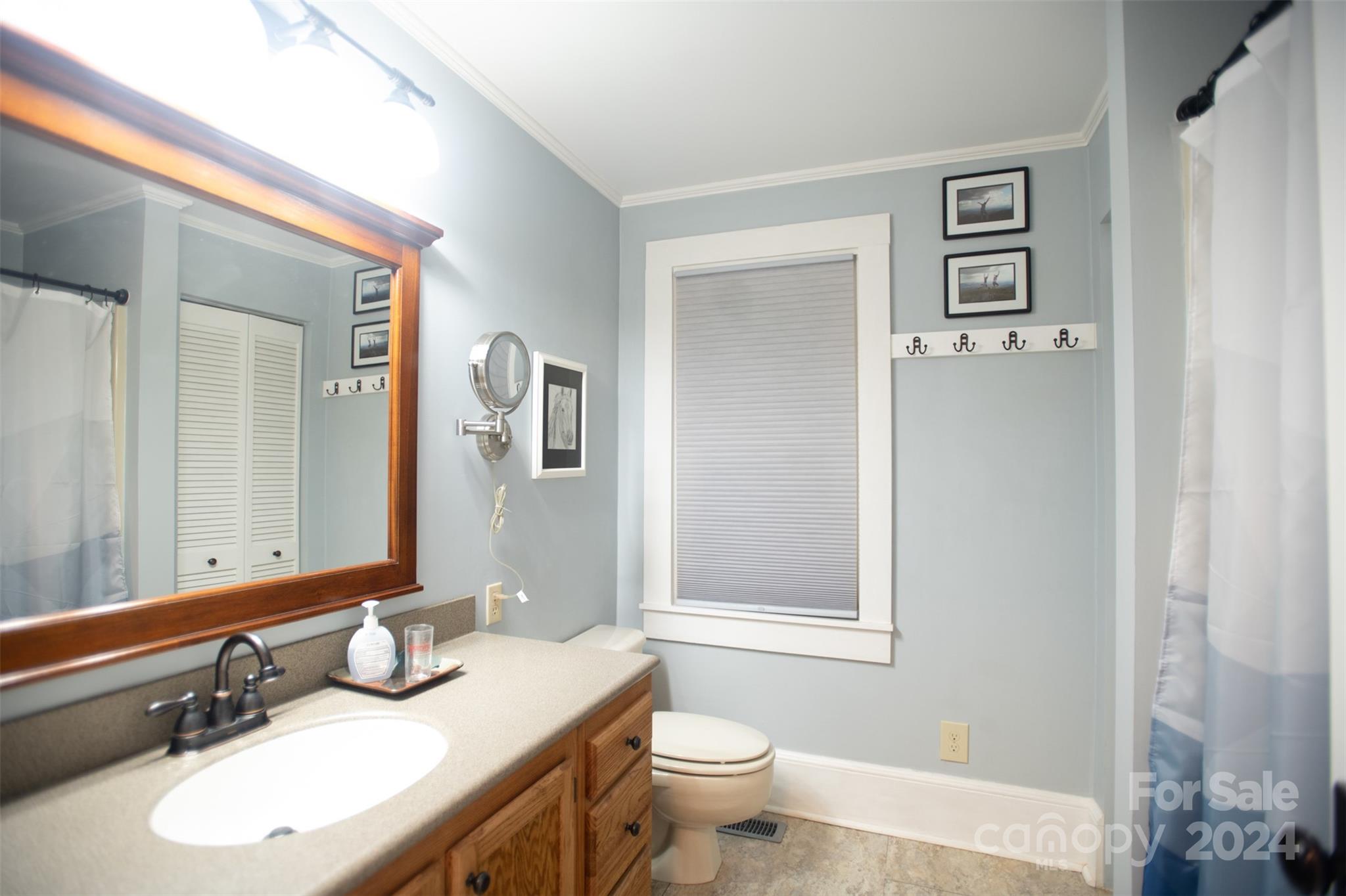 296 Sparks Road Bakersville, NC 28705 - Photo 41 of 47 a bathroom with a granite countertop sink a toilet and a mirror
