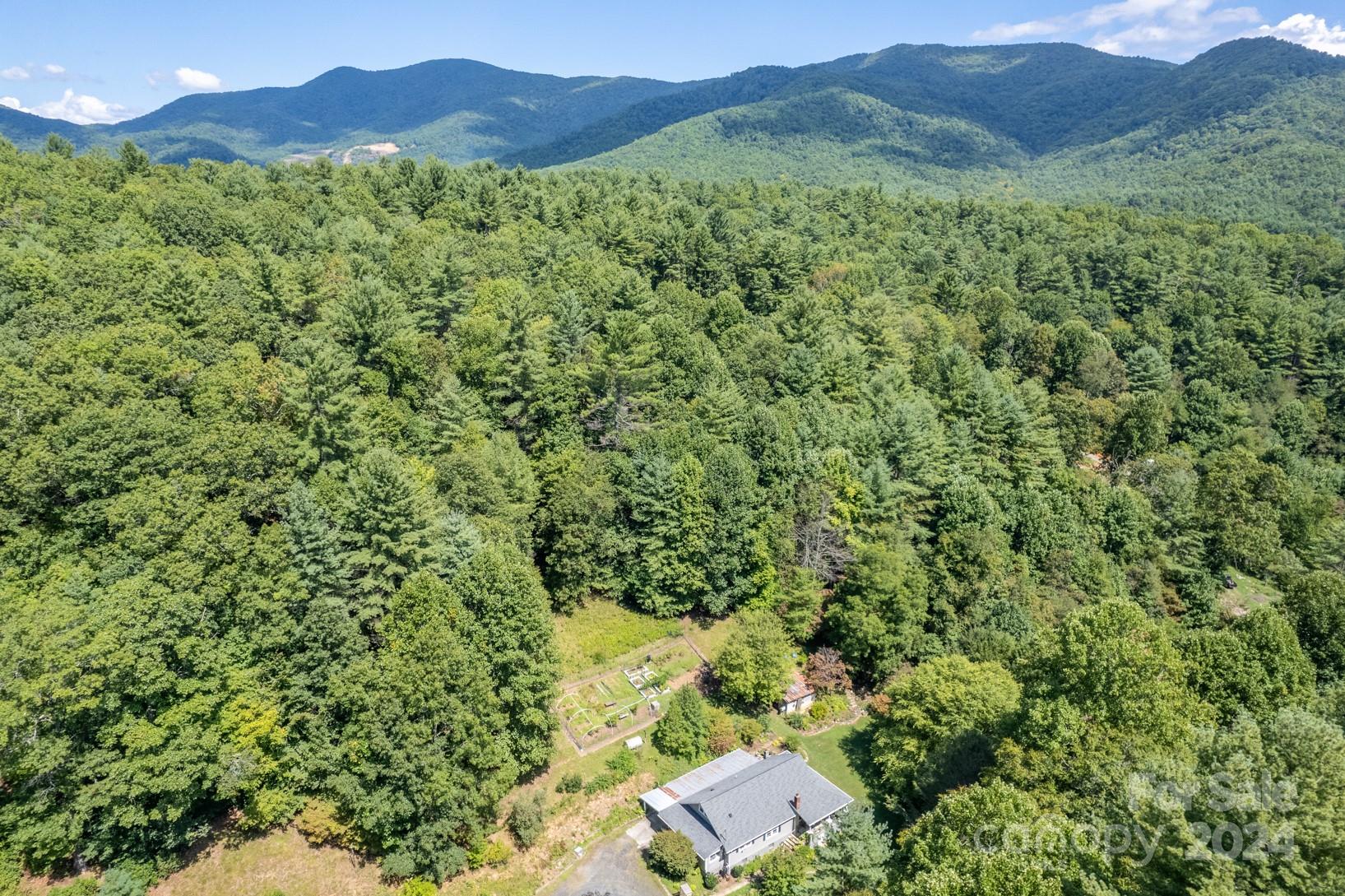 296 Sparks Road Bakersville, NC 28705 - Photo 6 of 47 a view of a lush green field with a tree in the background