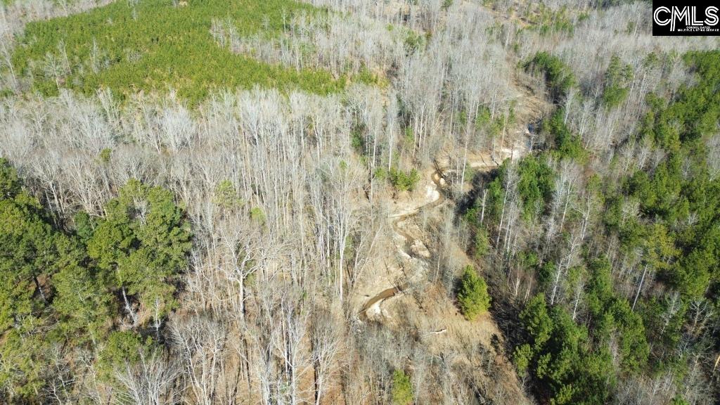 River Road Winnsboro, SC 29180 - Photo 2 of 20