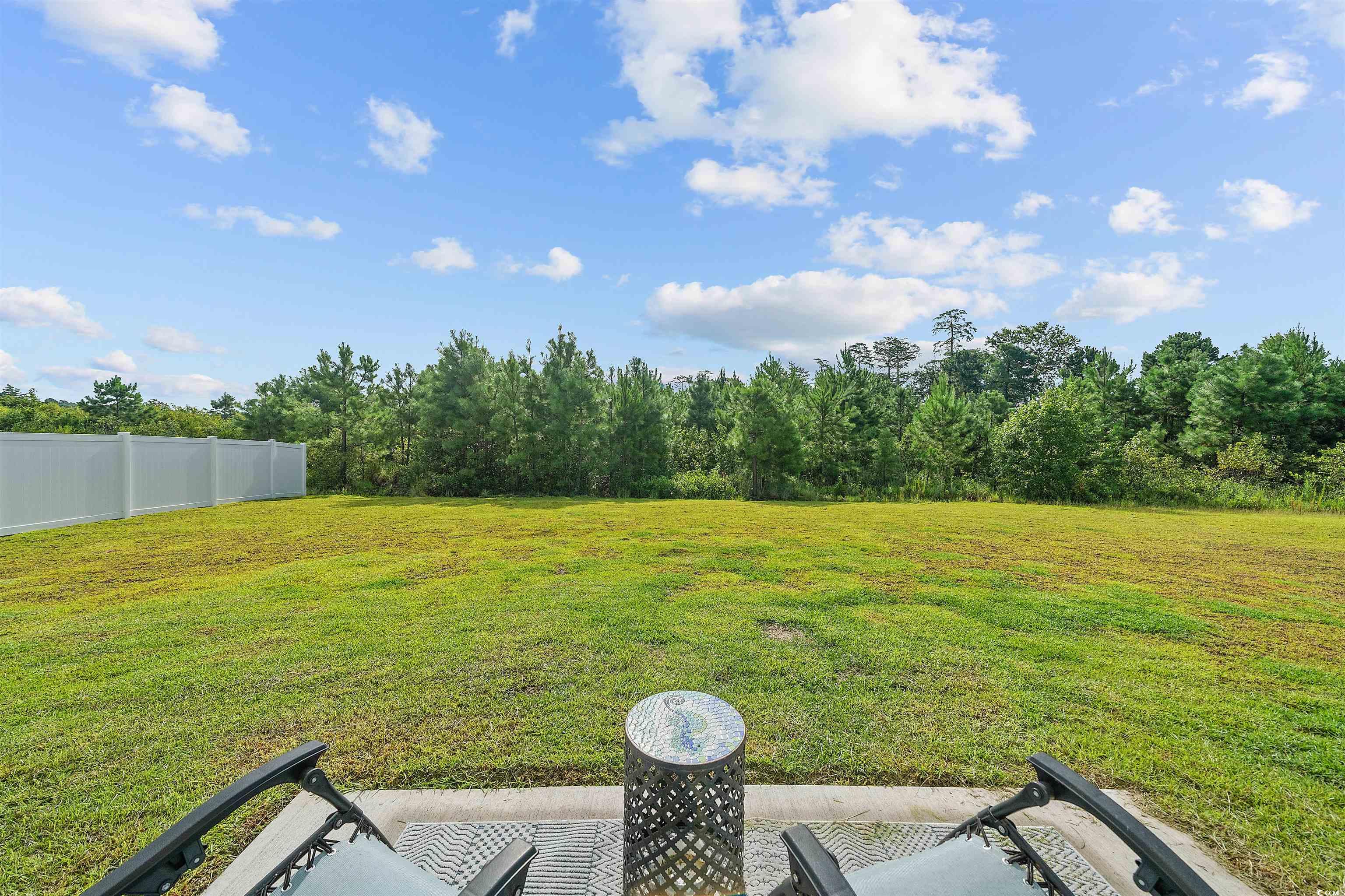 3119 Fair Rdg Way Conway, SC 29526 - Photo 30 of 38 View of yard
