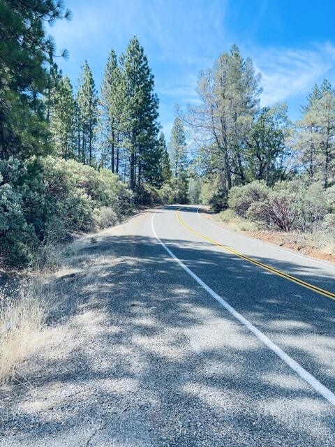 1 Oak Run Road Oak Run, CA 96069 - Photo 19 of 20 Paved Oak Run Rd out front of property