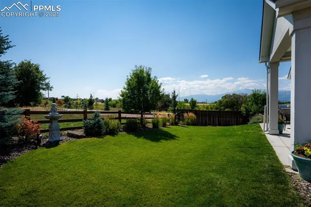 a view of a garden with lawn chairs