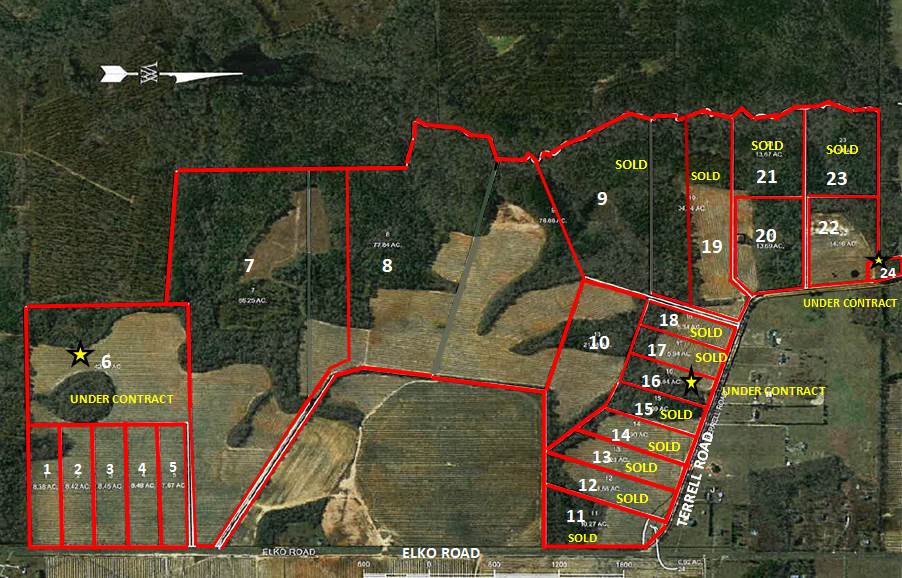 Lot 22 Terrell Road Elko, GA 31025 - Photo 1 of 1