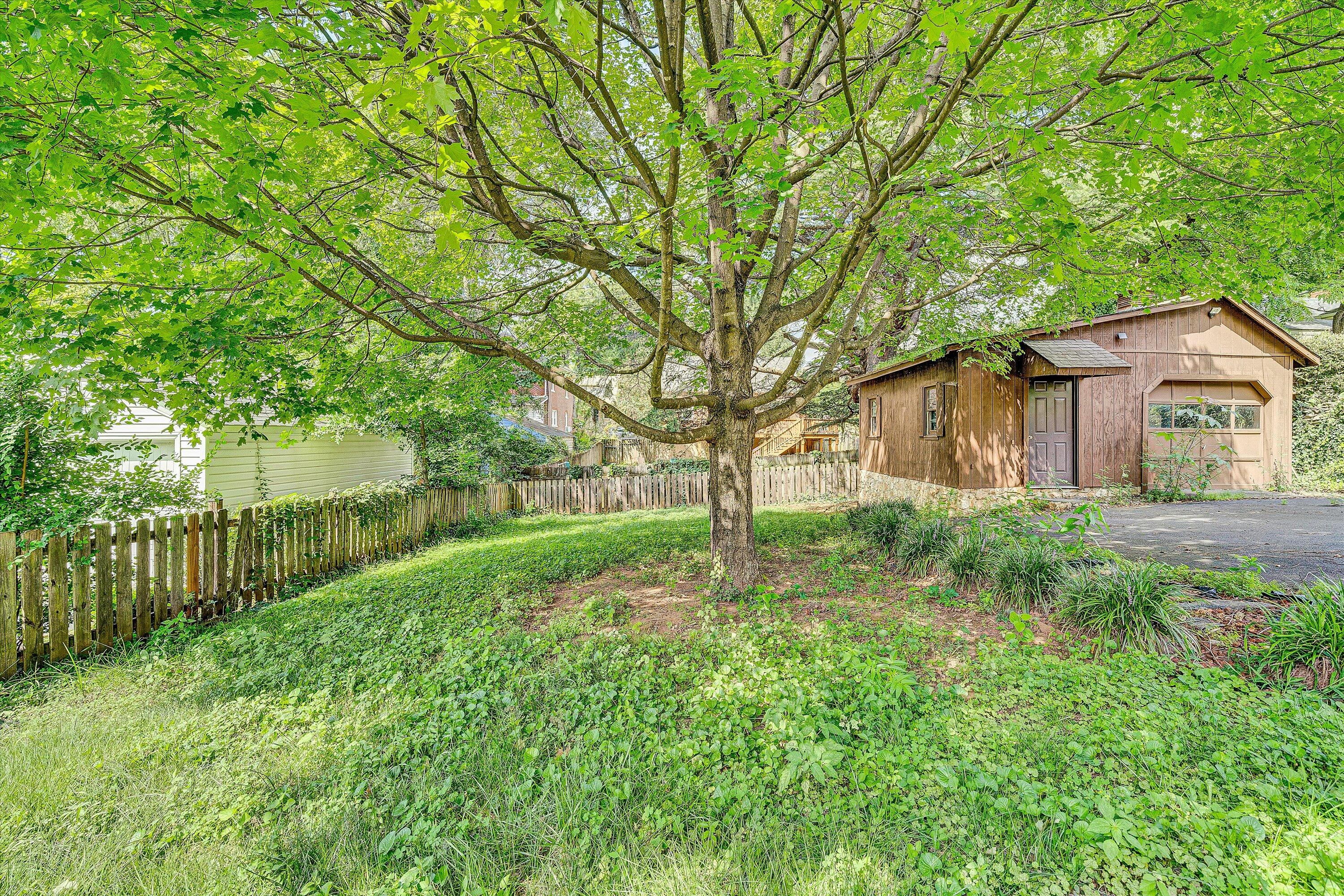 1907 Canterbury Road Southwest Roanoke, VA 24015 - Photo 29 of 36 a backyard of a house with plants and large tree
