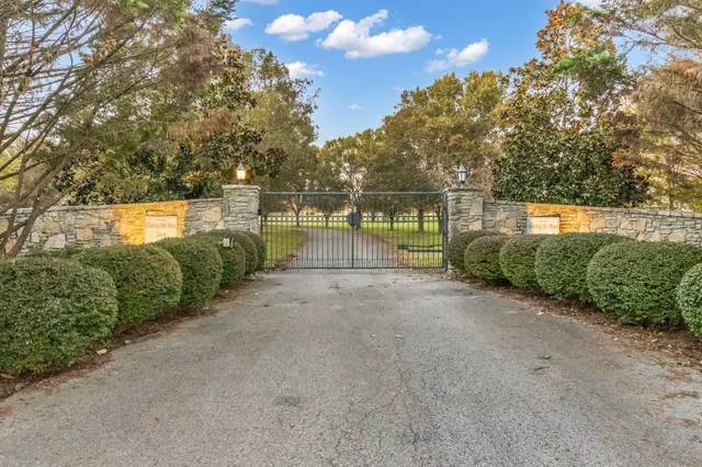 a view of a road with a yard