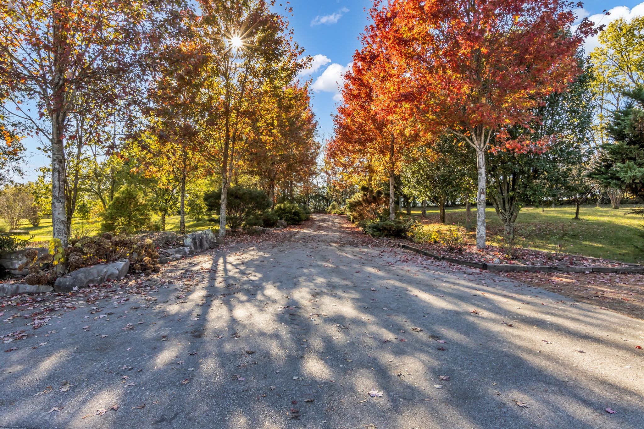 2942 Spanntown Road Arrington, TN 37014 - Photo 11 of 94 a view of a yard with plants and trees