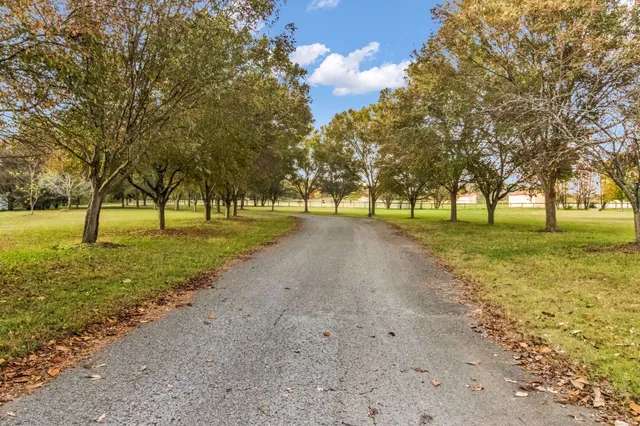 a view of a park with tree s
