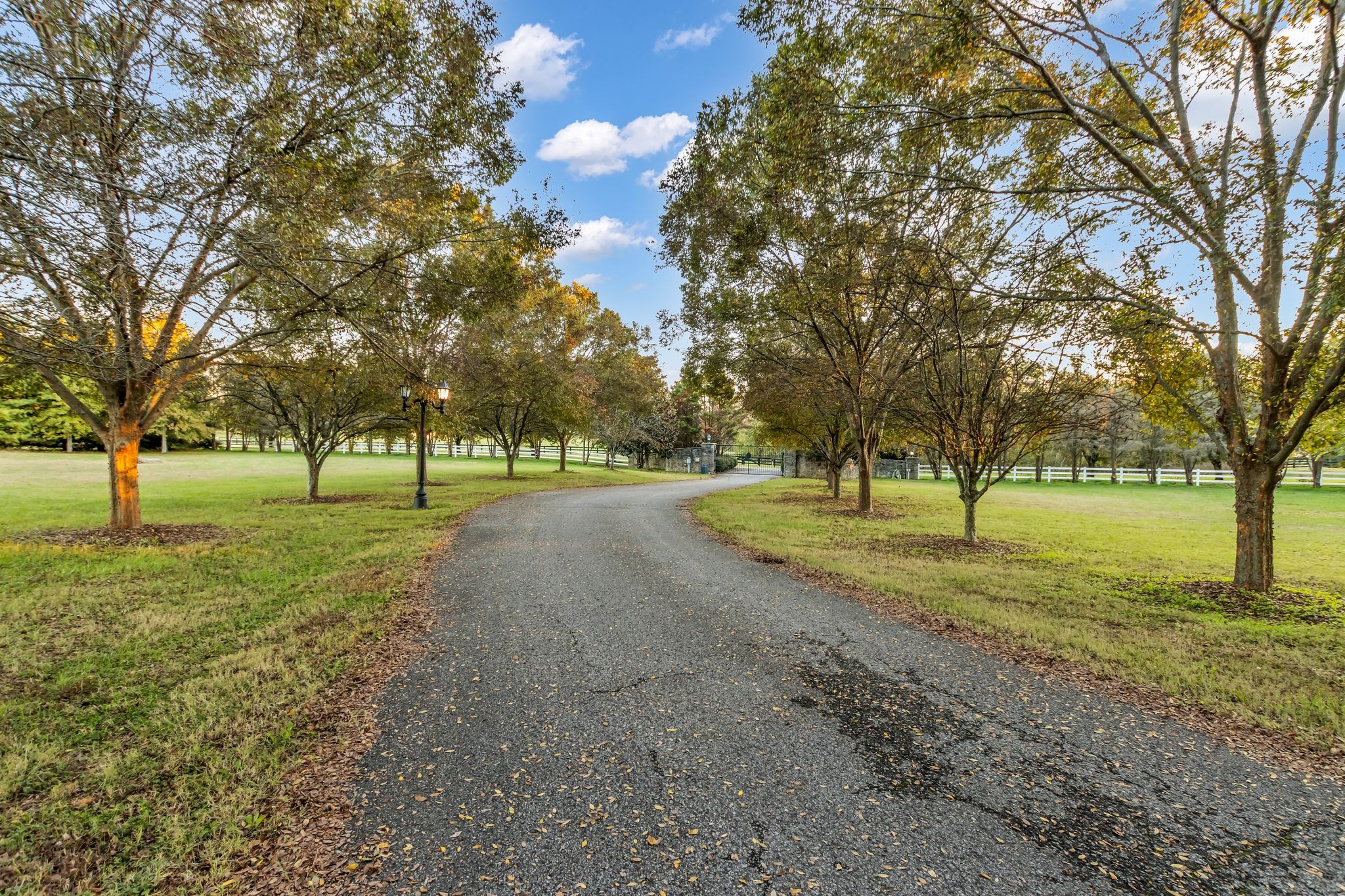2942 Spanntown Road Arrington, TN 37014 - Photo 3 of 94 a view of a park with tree s