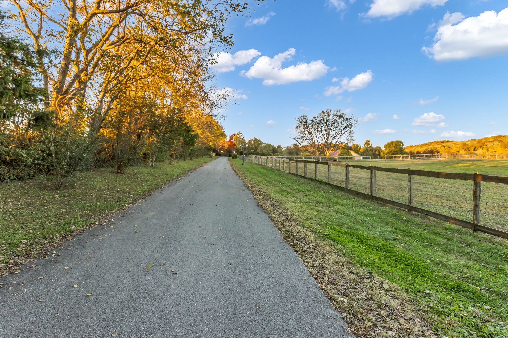 2942 Spanntown Road Arrington, TN 37014 - Photo 4 of 94 a view of a pathway with a yard
